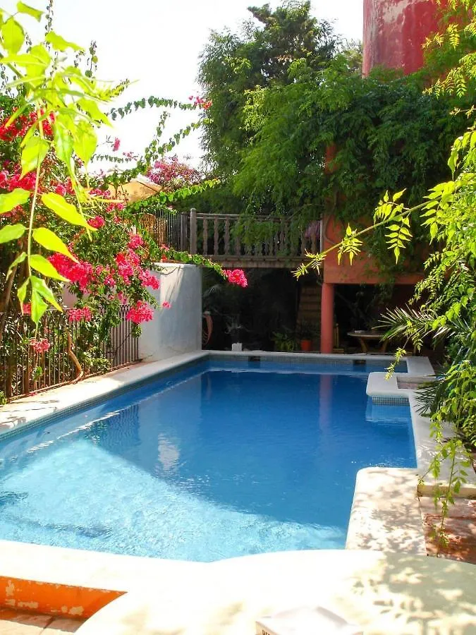 Navila Estudio En La Piscina Ibiza Town Apartment